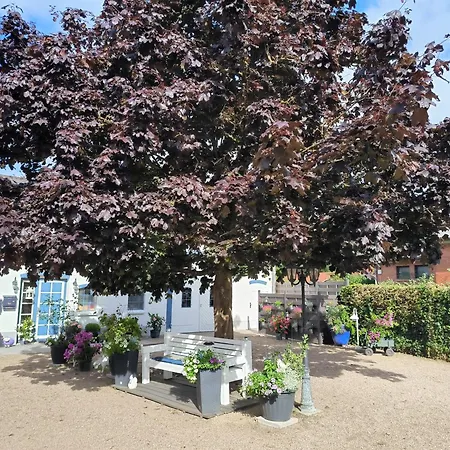 Wiesengrund - Gepflegte Und Gemütlich Mit Garten Apartamento Tarp